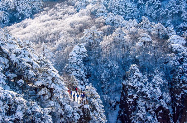 11雪色黄山--原图陈曙霞.jpg