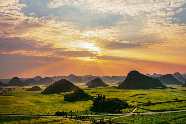 《灿烂光辉照大地》陶丽.jpg