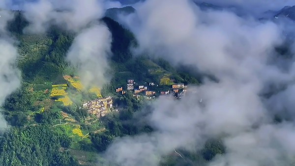 汪昌桥《云雾里的春天》 .jpg