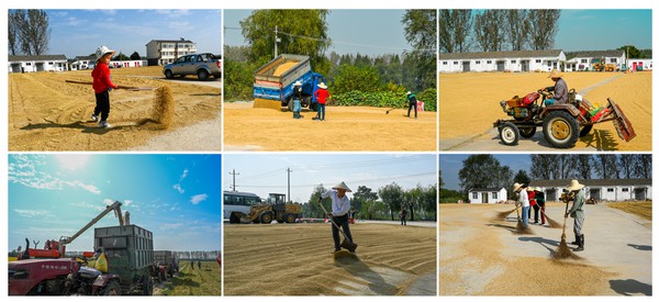 石飙《颗粒归仓》 合.png