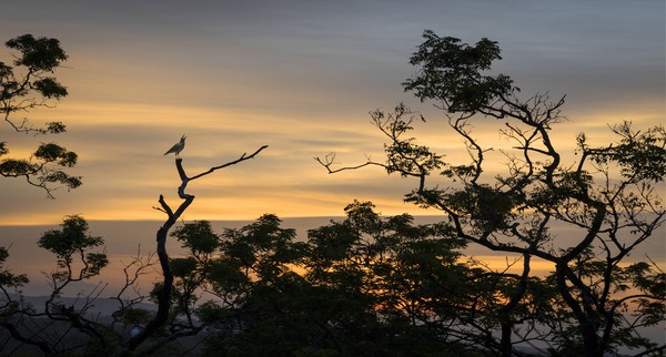 《昏鸦呼伴》  毕经邦，芜湖路校区，周二上午班，电话13865924599.jpg