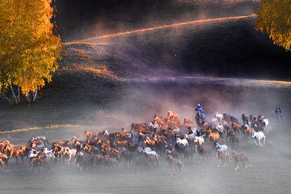 《秋之韵》洪涛  芜湖路校区周四下午张启老师班  13909699547.jpg
