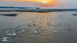 “银发聚焦新时代  镜头辉映桑榆情”摄影作品展选登（五）