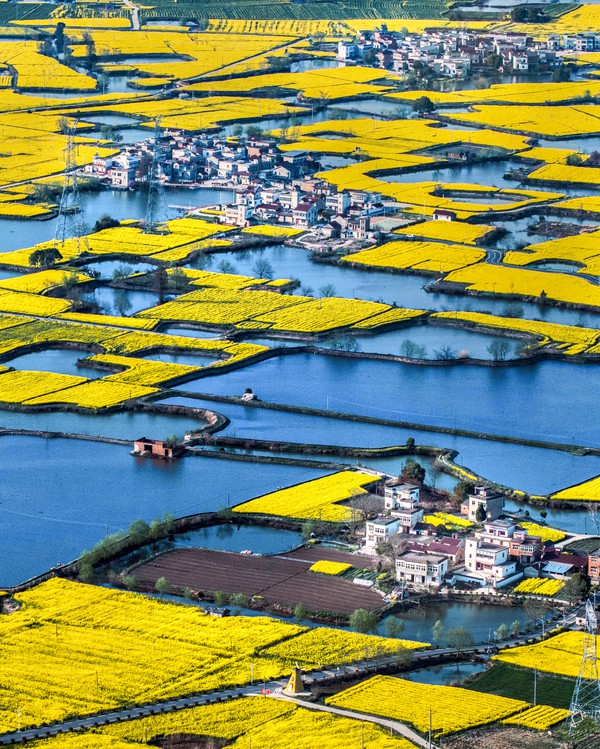 《家在画中居》黄山.jpg