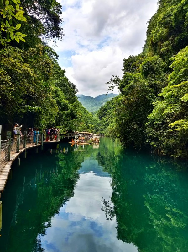 《屏山河畔》宋莉莉.jpg