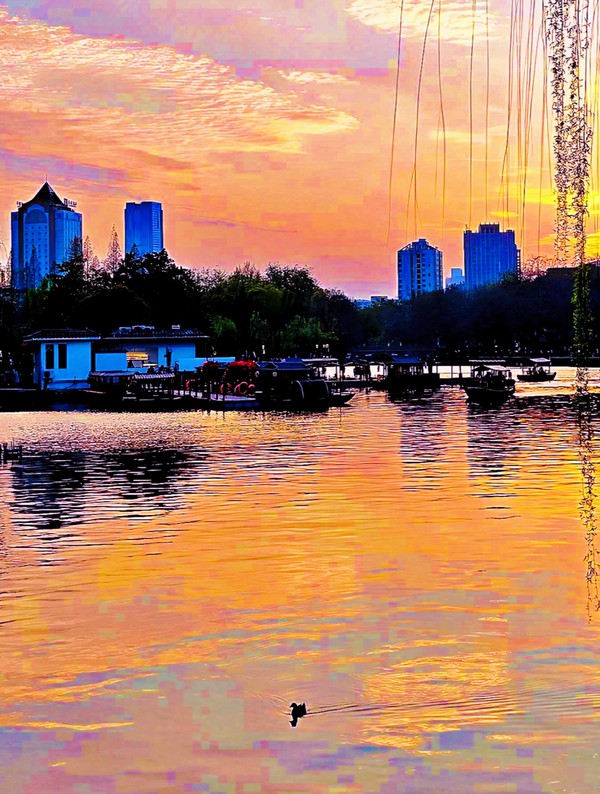 《夕阳》张勤.jpg