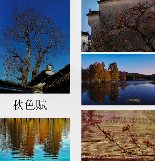 《秋色赋》潘召-副本.jpg